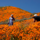 Image for article titled Instagram Influencers Are Wrecking Public Lands. Meet the Anonymous Account Trying to Stop Them